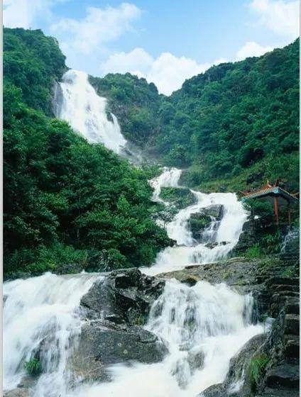 金莎自曝天天靠艾灸保养,结果原因太奇葩,岳云鹏:这女人太飒了